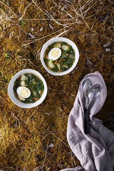 Vegetable soup with nettle — Stock Image Vegetable soup with nettle Royalty Free Stock Images