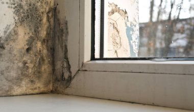 Daire penceresindeki küf. Mantar kolonileri çerçeve eklemlerinde, bitişik duvarlarda. Pencere eğimleri sürekli rutubet nedeniyle siyah küften etkilenir. Küf kötü havalandırma koşullarında çoğalır.