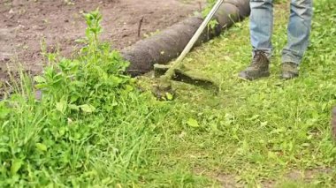 Yakın plan budama bıçağı, kalın yeşil çimenleri keserek taze kırpıntıları uçuruyor. Petrol makası yakın mesafeden çalışır, budama kablosu çimenleri keser ve yoğun ot verimliliğini tüketir..