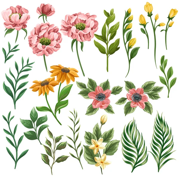 Grande Collection Éléments Floraux Fleurs Feuilles Branches — Image vectorielle