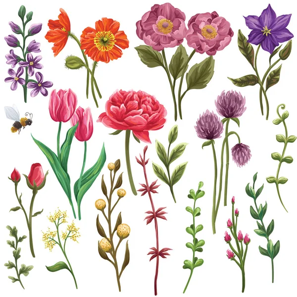 Enorme Collectie Van Floral Elementen Bloemen Bladeren Takken — Stockvector