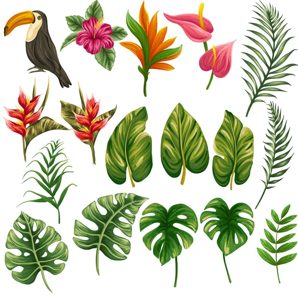 Riesige Sammlung Tropischer Floraler Elemente Wie Blumen Pflanzen Und Blätter — Stockvektor