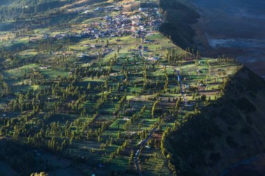 Volkan Bromo gündoğumu zaman arka plan, yanındaki Köyü