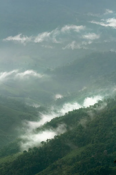 Fog Flow Tropical Rain Forest Mountain Landscape — Stock Photo, Image