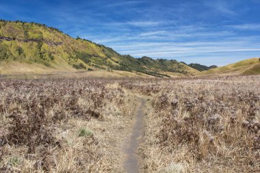 mount bromo volkanlar bromo tengger semeru Milli Parkı, Doğu java, Endonezya, savana.
