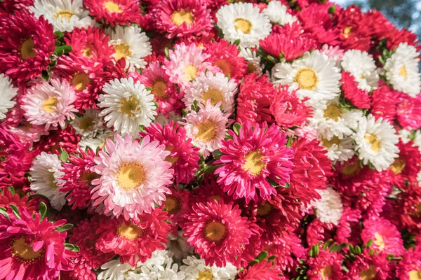 Fond Fleurs Colorées Vendre Marché Aux Fleurs Gros Kyauk Mee — Photo