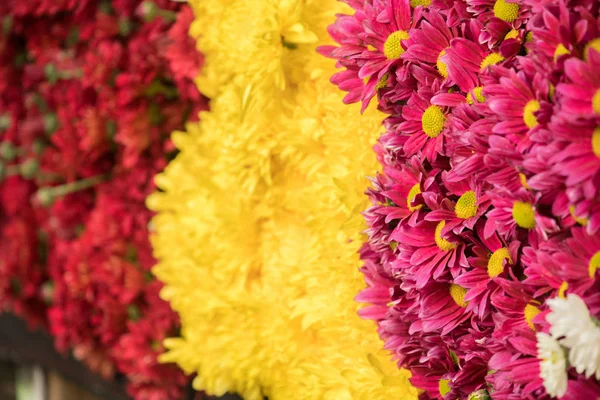 Fond Fleurs Colorées Vendre Marché Aux Fleurs Gros Kyauk Mee — Photo