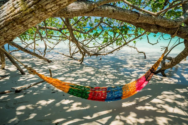 Hammock Tree Straps Hang Beach Shade Nobody Day Time Wide — Stock Photo, Image