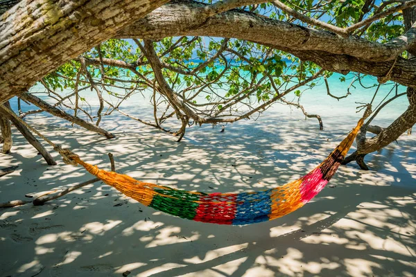 Paski Drzewo Hamak Powiesić Plaży Cieniu Nikt Dzień Czas Szeroki — Zdjęcie stockowe