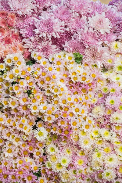 Fond Fleurs Colorées Vendre Marché Aux Fleurs Gros Kyauk Mee — Photo