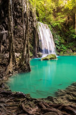 Tayland adı Erawan, büyük ağaç ile orman çevre şelale