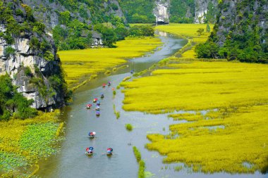 Turist binmek için pirinç alan nehir Tamcoc, Ninhbinh, Vietnam, 
