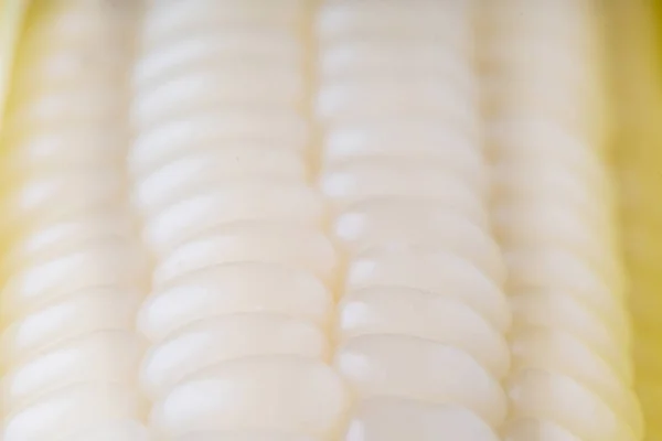 White Corn Isolated White Background Macro Shot — Stock Photo, Image