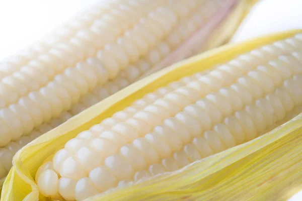 white corn isolated on white background, macro shot