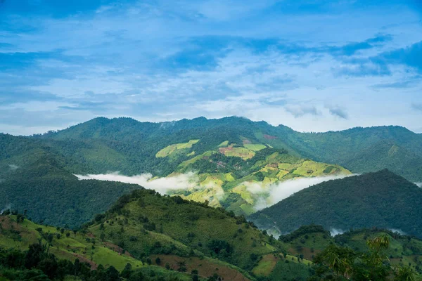 Green Mountain Valley Fog Natural Winter Landscape Nan Thailand — Stock Photo, Image