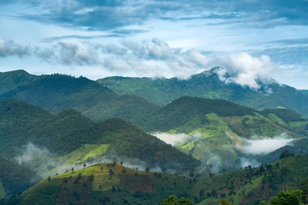 緑の山の谷 タイの自然冬の風景の中に霧 — ストック写真