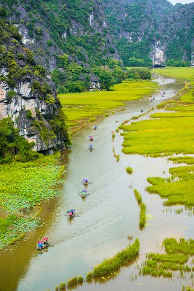 観光旅行観光 Tamcoc Ninhbinh ベトナムで Ngo の田んぼのボートに乗る — ストック写真