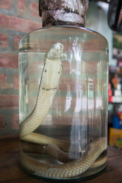 Вьетнамский алкогольный напиток со змеями
