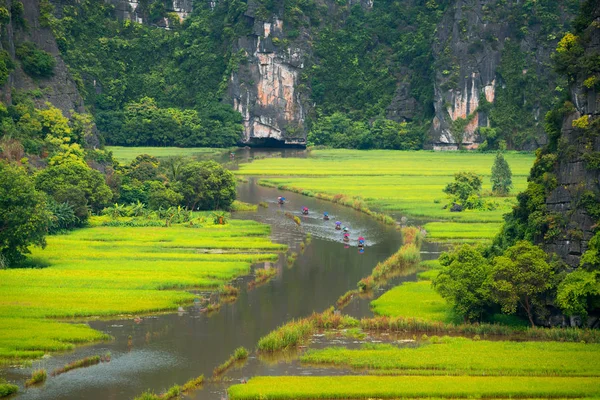 Turist Binmek Için Pirinç Alan Nehir Tamcoc Ninhbinh Vietnam Sivil — Stok fotoğraf