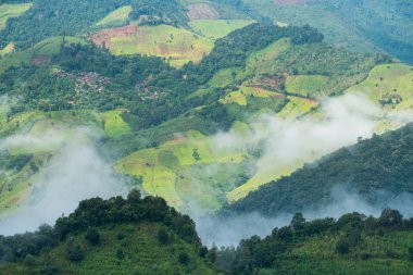Yeşil dağ Vadisi ve sis sırasında doğal kış manzara Nan, Tayland