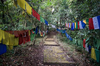 Tibet dua bayrağı veya akciğer ta, bayrak rüzgar akışı dilek insanlar her yerde: Sikkim, India için yere yüksek sıkı tutun
