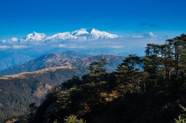 Kangchenjunga Dağı manzara mavi gökyüzü çam ağacı arkasında gün zaman sırasında 