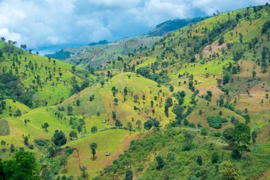 Yeşil Nan, Tayland pirinç alan teras. Yüksek görünümünden ateş.