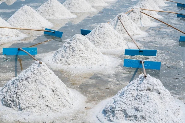 Hoop Zeezout Oorspronkelijke Zout Produceren Boerderij Maken Van Natuurlijke Zoute — Stockfoto