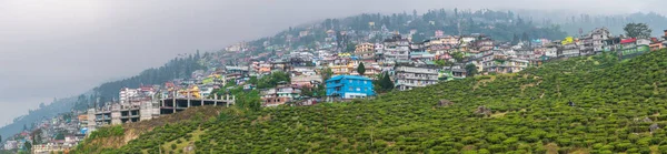 Kurseong Una Ciudad India Distrito Darjeeling India —  Fotos de Stock
