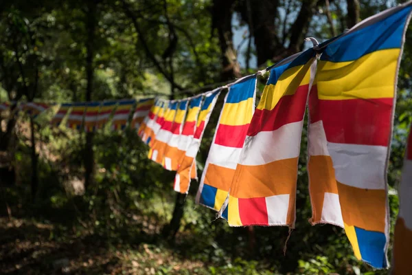 Buddhist flags color bar vertical and horizontal. It\'s decorative in the temple, Sikkim, India