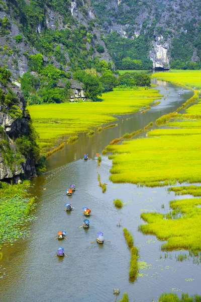 Туристическая Лодка Путешествий Видом Рисовое Поле Реке Нго Донг Тамкоке — стоковое фото