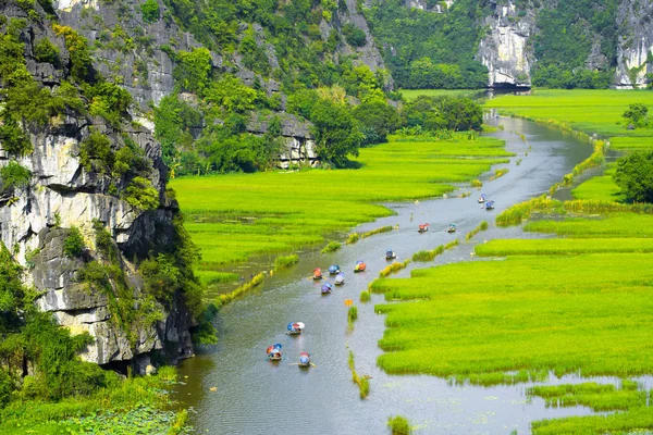 Tourist ride boat for travel sight seeing Rice field on river \