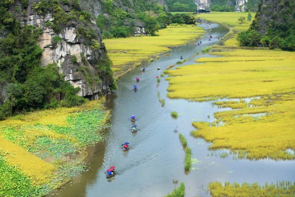 観光旅行観光 Tamcoc Ninhbinh ベトナムで Ngo の田んぼのボートに乗る — ストック写真