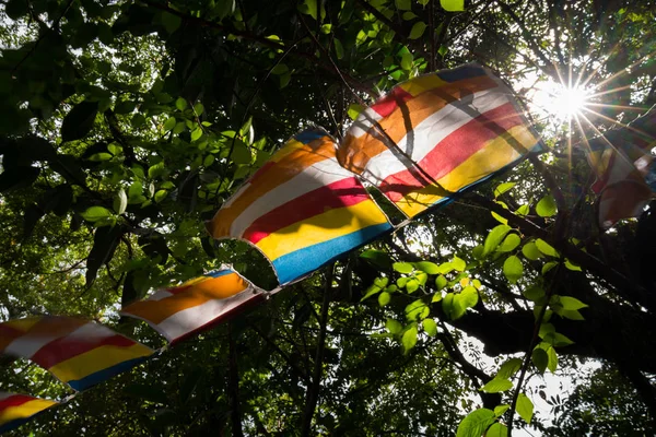 Βουδιστική Σημαίες Γραμμή Χρώματος Κάθετη Και Οριζόντια Πρόκειται Για Διακοσμητικό — Φωτογραφία Αρχείου