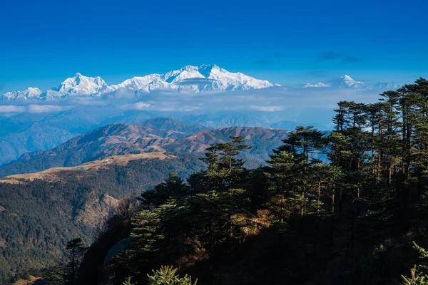 Kangchenjunga Monte Paisaje Durante Cielo Azul Día Tiempo Detrás Pino —  Fotos de Stock