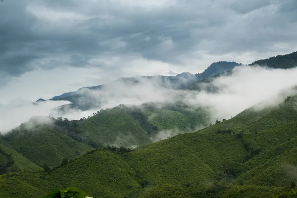 緑の山の谷 タイの自然冬の風景の中に霧 — ストック写真