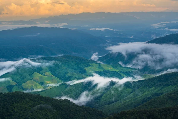 緑の山の谷 タイの自然冬の風景の中に霧 — ストック写真