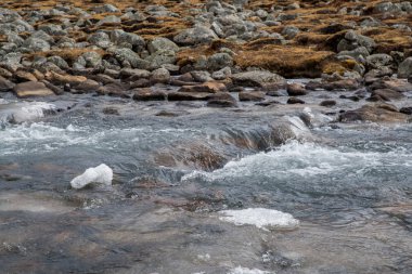 Kar tanesi kar buz nehirden yanında eritmek dağ manzara