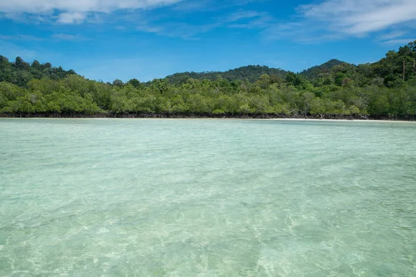 Zee eiland vooraanzicht zeegezicht zonnig met boom rond — Stockfoto