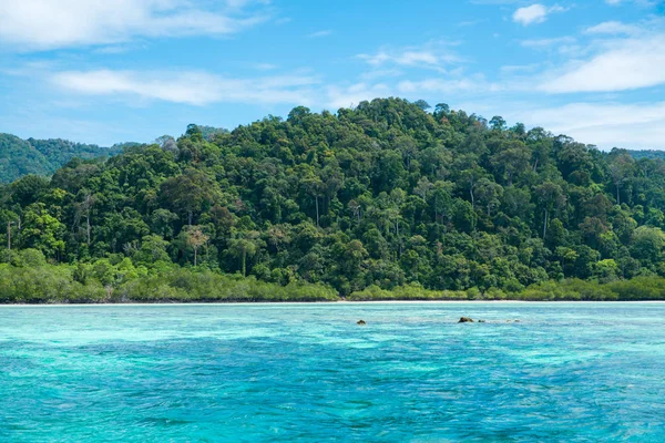 Zee eiland vooraanzicht zeegezicht zonnig met boom rond — Stockfoto