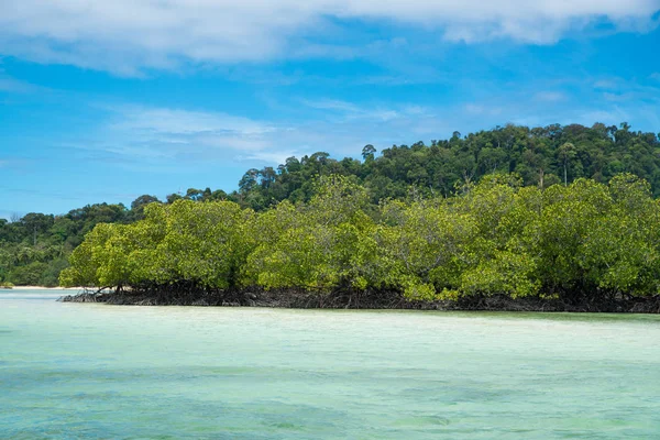 Морський острів вид спереду море сонячний з деревом навколо — стокове фото