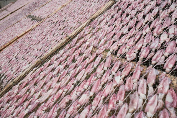 Dried squid — Stock Photo, Image