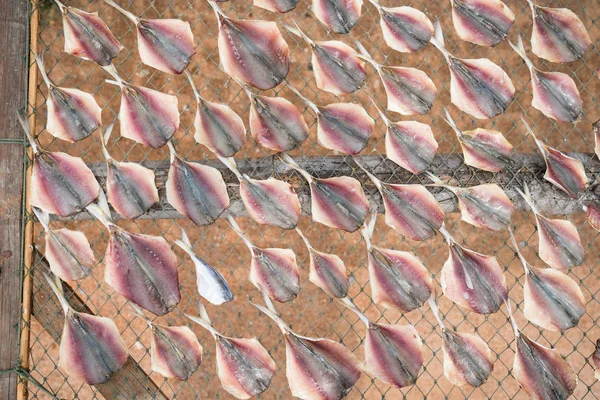 Makreel, vis gedroogd uit zonlicht — Stockfoto