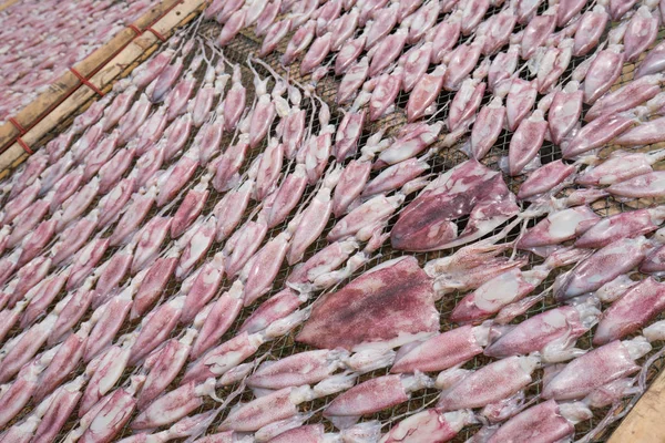 Dried squid — Stock Photo, Image