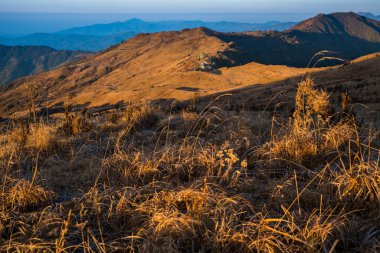 dağ manzara kahverengi çimen, Tonglu kulübe, Sikkim, India