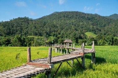Bambu örgü yürüyüş yolu Köprüsü ve pirinç alan, manzaralı.
