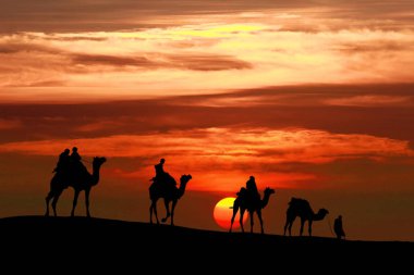 caravan Walking with camel through Thar Desert in India, Show si clipart
