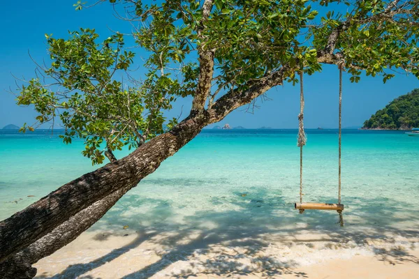 Schaukel hängt an großem Baum über Strandmeer — Stockfoto