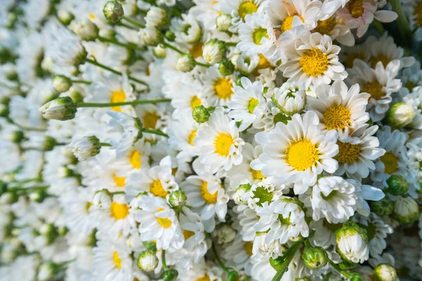 Fond de fleurs colorées à vendre à la mar de fleurs en gros — Photo