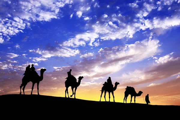 Караван прогулянки з верблюжого через пустелі Тар в Індії, показати si — стокове фото